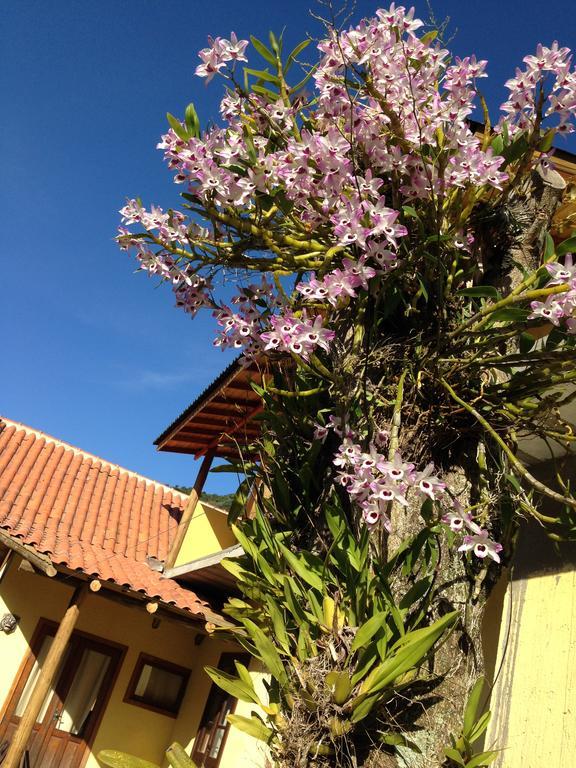 Morada Do Gabriel Hotel Guarda do Embau Luaran gambar